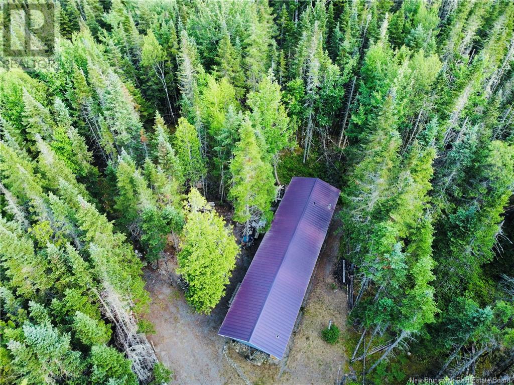 127 Route, Waweig, New Brunswick  E3L 4P2 - Photo 43 - NB121631
