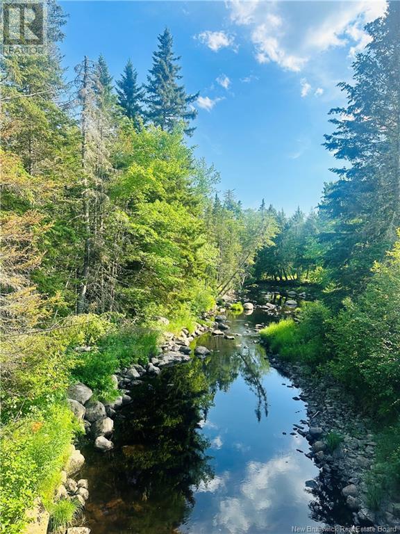 127 Route, Waweig, New Brunswick  E3L 4P2 - Photo 44 - NB121631