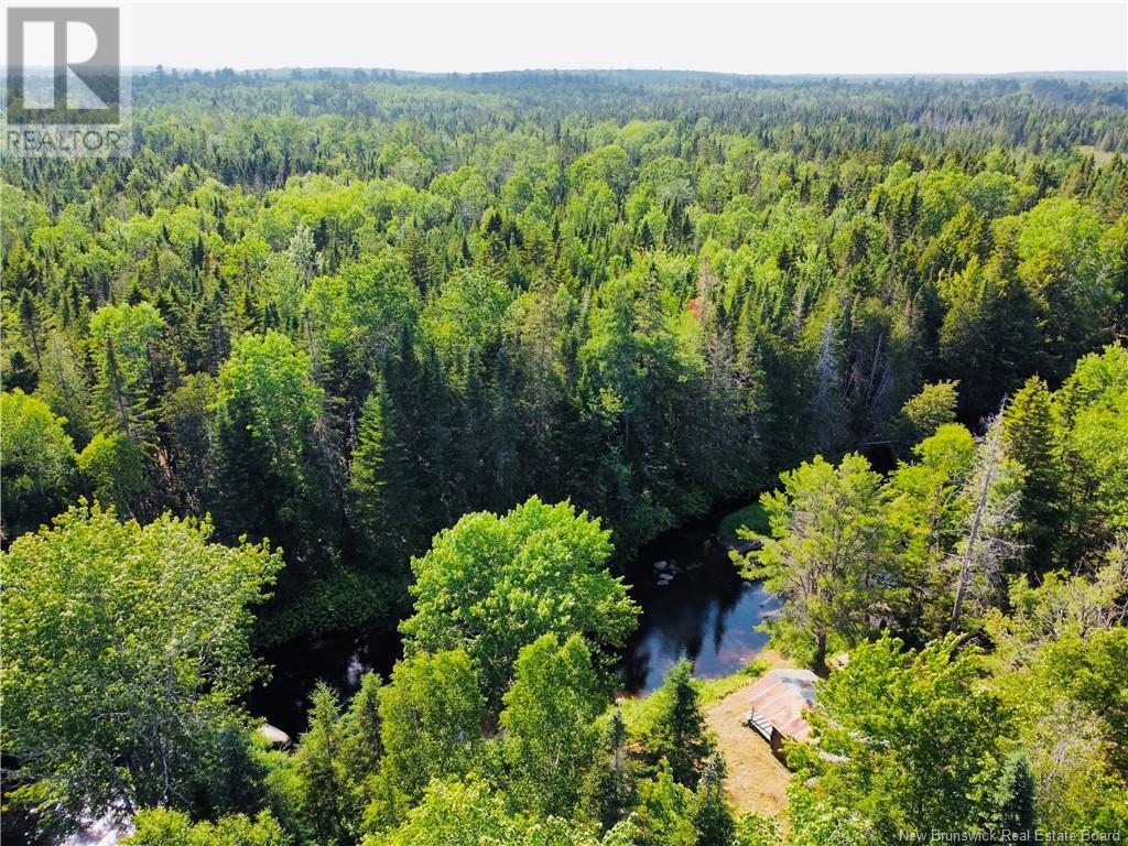 127 Route, Waweig, New Brunswick  E3L 4P2 - Photo 6 - NB121631