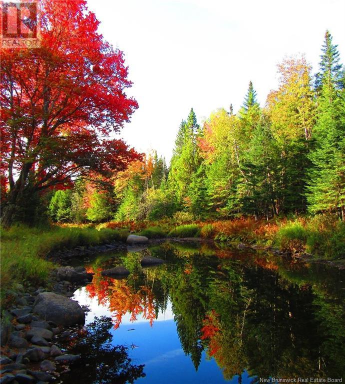 127 Route, Waweig, New Brunswick  E3L 4P2 - Photo 8 - NB121631