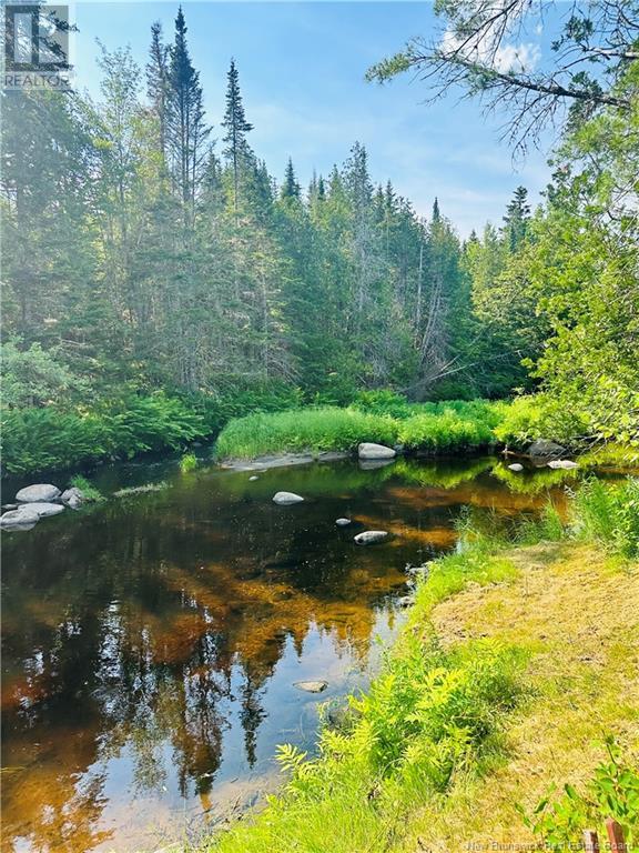 127 Route, Waweig, New Brunswick  E3L 4P2 - Photo 9 - NB121631