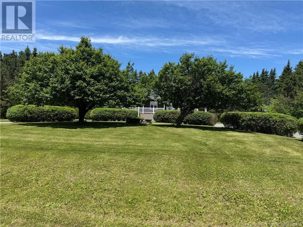 74 Petit Ouest Road, Kedgwick, New Brunswick  E8B 1T7 - Photo 6 - NB121667