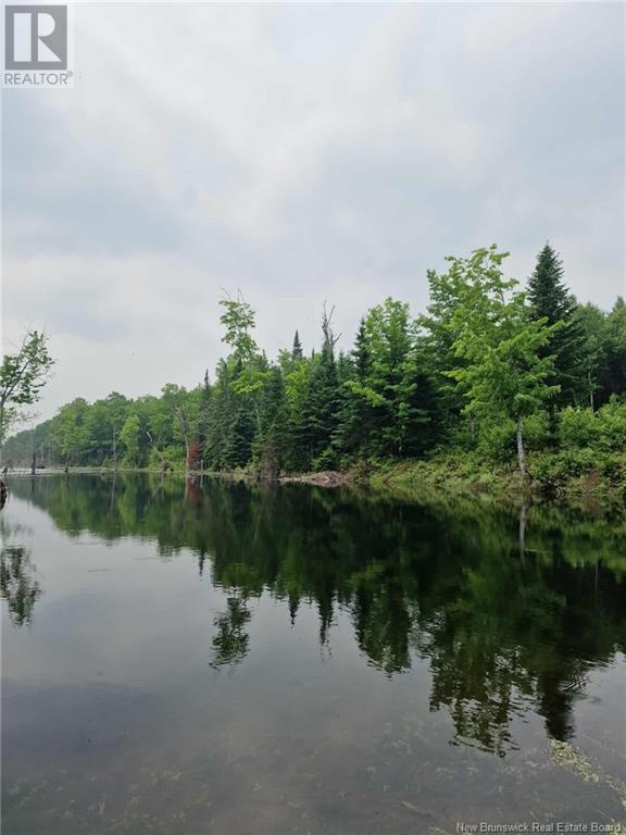 50.3 Acres Centenaire Street, Lorne, New Brunswick  E8G 1G3 - Photo 2 - NB121628