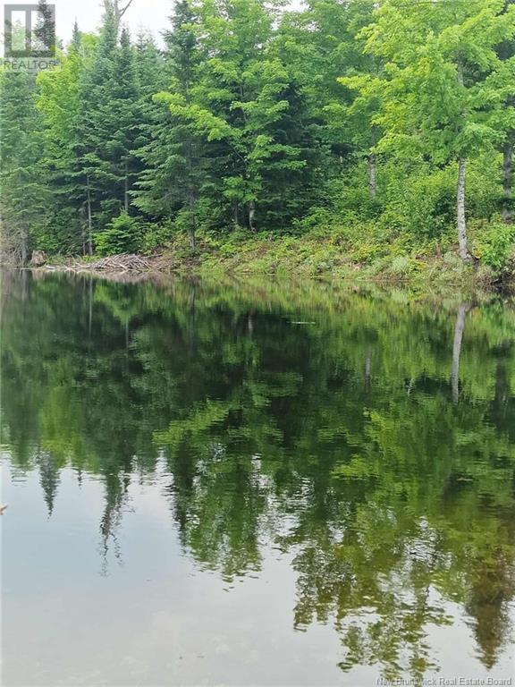 50.3 Acres Centenaire Street, Lorne, New Brunswick  E8G 1G3 - Photo 3 - NB121628