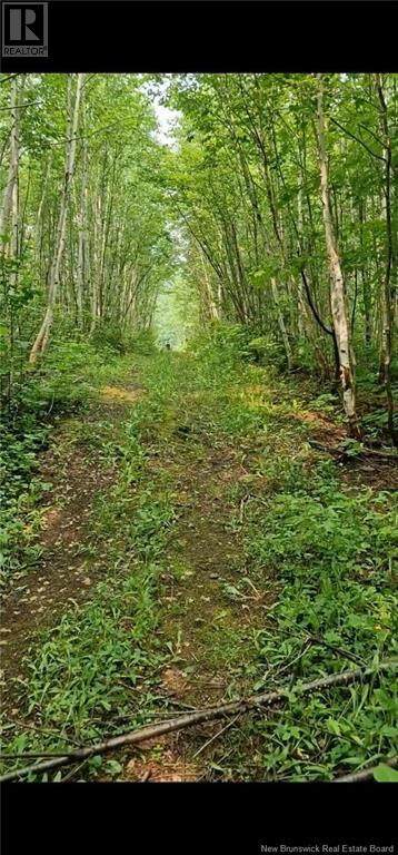 50.3 Acres Centenaire Street, Lorne, New Brunswick  E8G 1G3 - Photo 4 - NB121628
