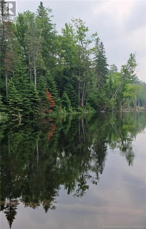 50.3 Acres Centenaire Street, Lorne, New Brunswick  E8G 1G3 - Photo 6 - NB121628