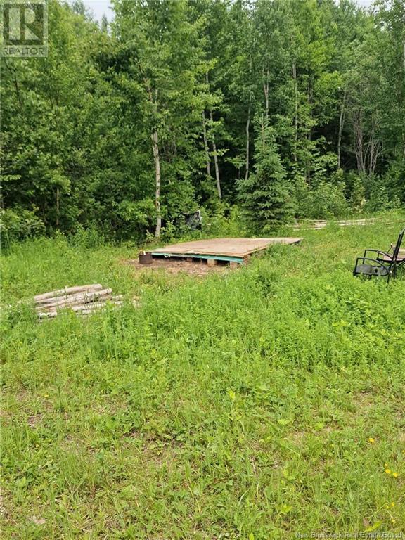 50.3 Acres Centenaire Street, Lorne, New Brunswick  E8G 1G3 - Photo 7 - NB121628