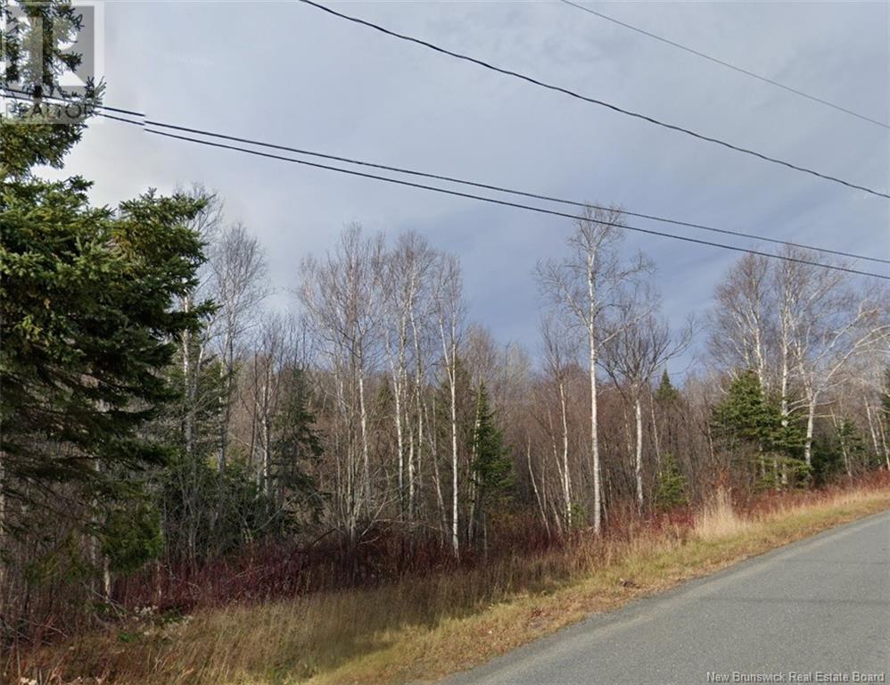 0 Rang 5 Road, Saint-Basile, New Brunswick  E7C 2B3 - Photo 4 - NB121670
