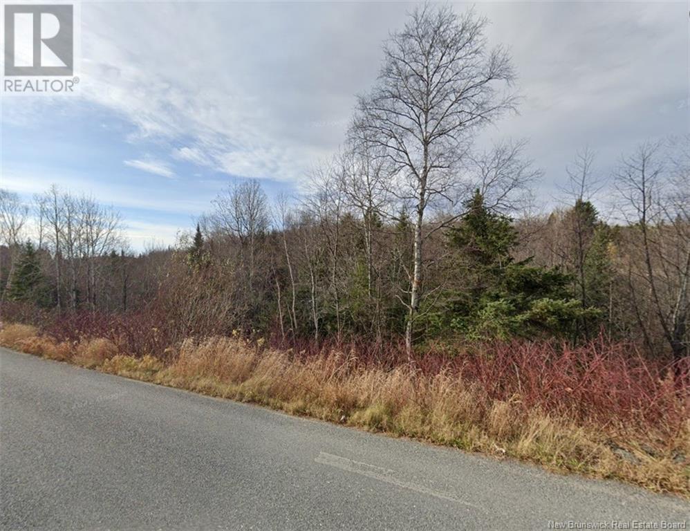 0 Rang 5 Road, Saint-Basile, New Brunswick  E7C 2B3 - Photo 5 - NB121670