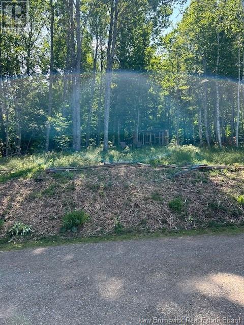 4 Jerusalem Road, Hampstead, New Brunswick  E2K 5B8 - Photo 39 - NB117740