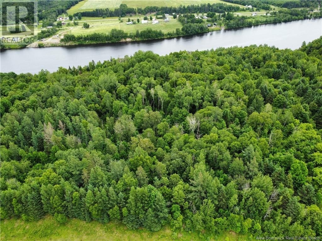 Lot Route 130, Bairdsville, New Brunswick  E7H 3V3 - Photo 5 - NB121592