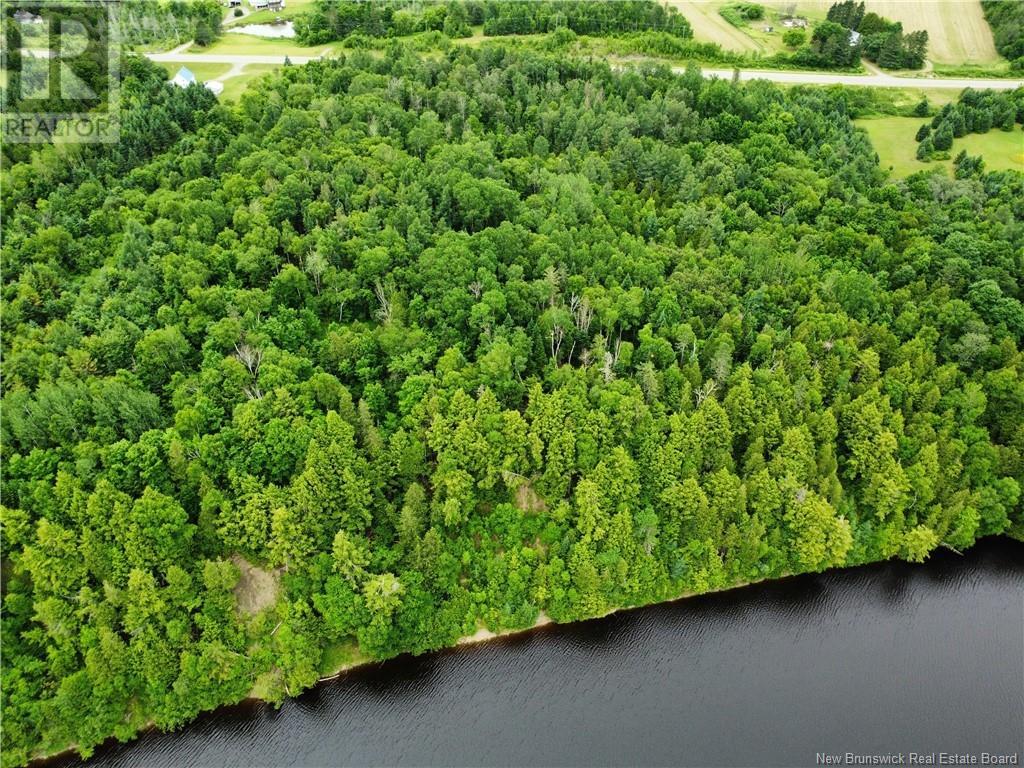 Lot Route 130, Bairdsville, New Brunswick  E7H 3V3 - Photo 6 - NB121592