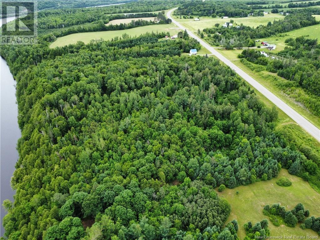 Lot Route 130, Bairdsville, New Brunswick  E7H 3V3 - Photo 7 - NB121592