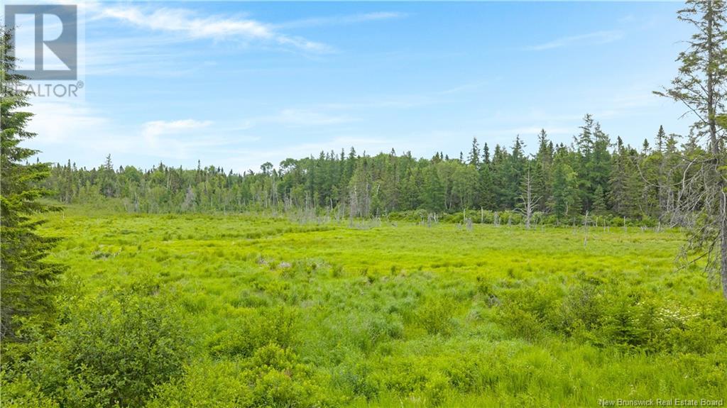 182 Manitoba Road, Searsville, New Brunswick  E5P 3Z3 - Photo 11 - NB120687