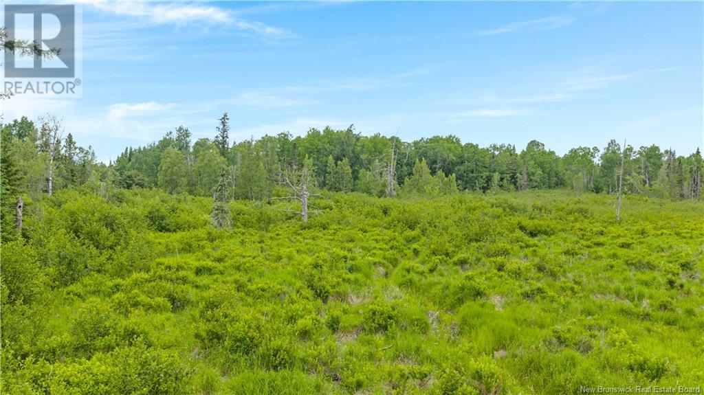 182 Manitoba Road, Searsville, New Brunswick  E5P 3Z3 - Photo 12 - NB120687