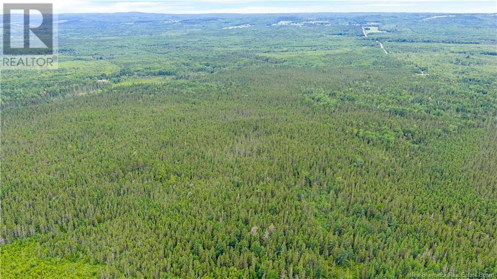 182 Manitoba Road, Searsville, New Brunswick  E5P 3Z3 - Photo 32 - NB120687