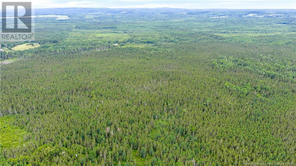 182 Manitoba Road, Searsville, New Brunswick  E5P 3Z3 - Photo 33 - NB120687