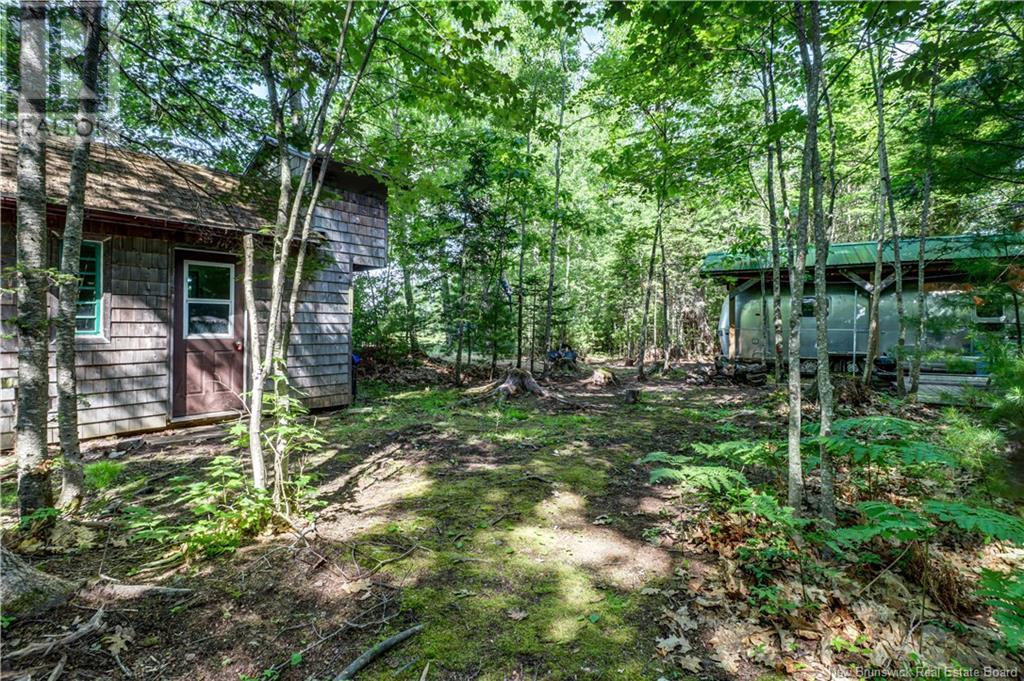 41 Lakeview Road, Mill Cove, New Brunswick  E4C 3E5 - Photo 6 - NB121651