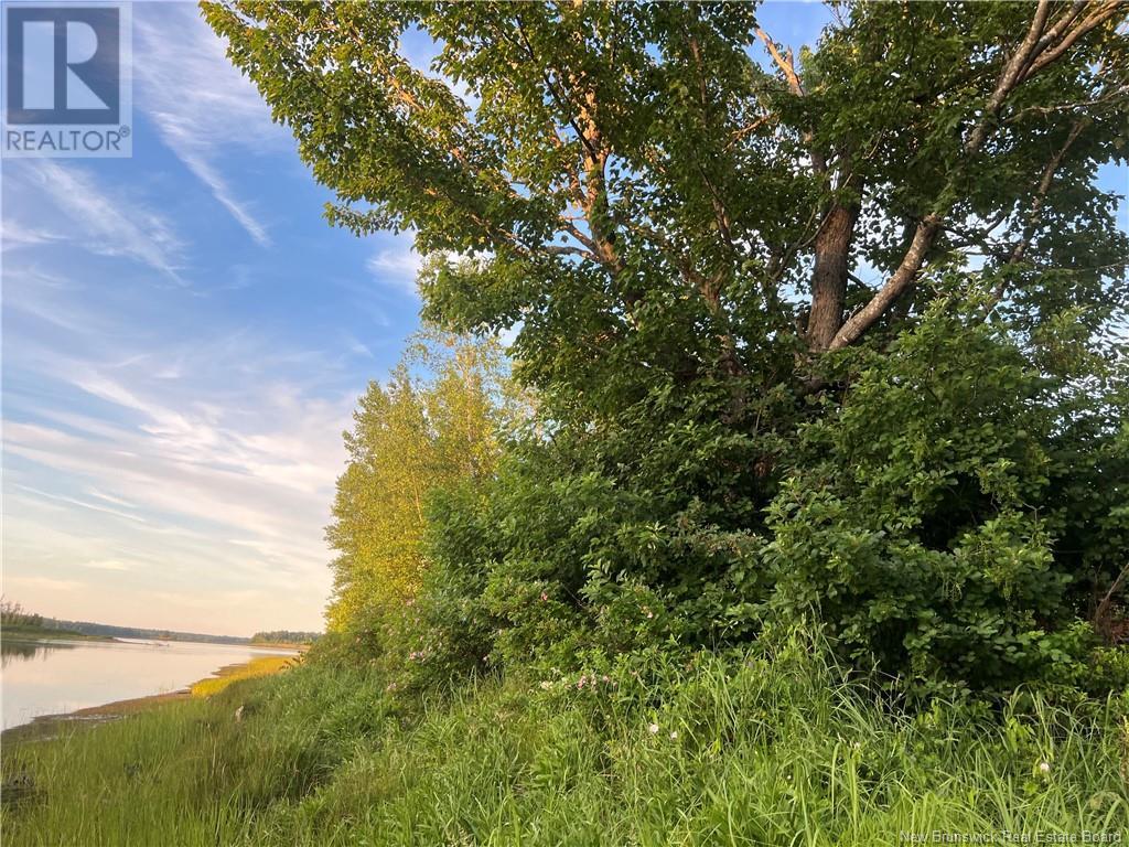Lot 16-18 Aleesha Court, Bass River, New Brunswick  E4T 3Z1 - Photo 10 - NB121765