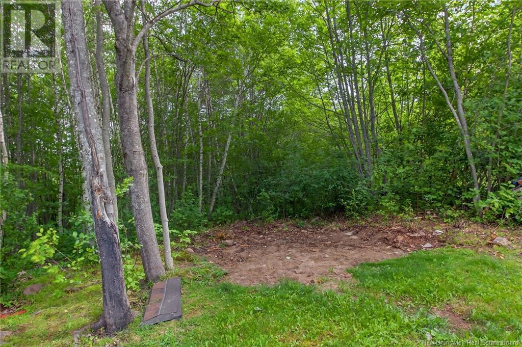 35 Herman, Dieppe, New Brunswick  E4K 3Y5 - Photo 12 - NB121760