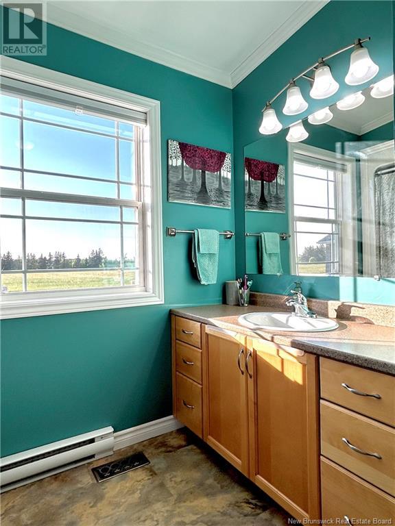 597 South Napan Road, Napan, New Brunswick  E1N 4W4 - Photo 25 - NB121767