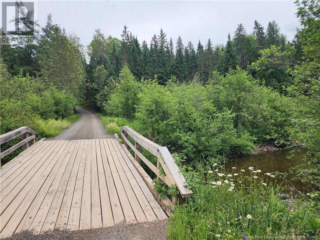 Route 385, Burntland Brook, New Brunswick  E3G 1W4 - Photo 3 - NB121727