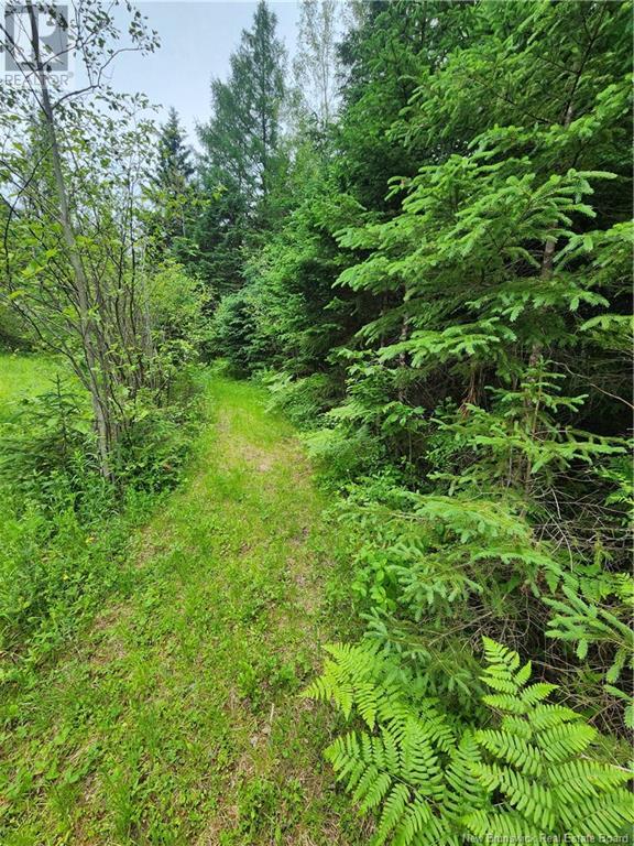 Route 385, Burntland Brook, New Brunswick  E3G 1W4 - Photo 5 - NB121727