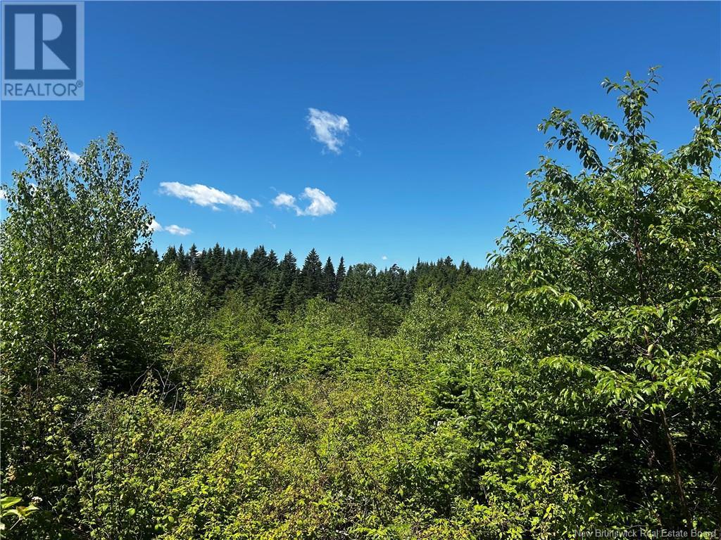Old Gardner Creek Road, Rowley, New Brunswick