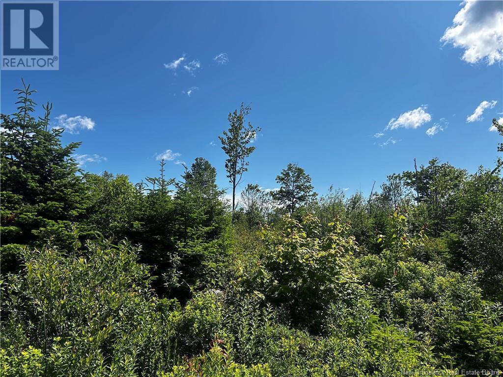 Old Gardner Creek Road, Rowley, New Brunswick  E2S 0E9 - Photo 2 - NB121779