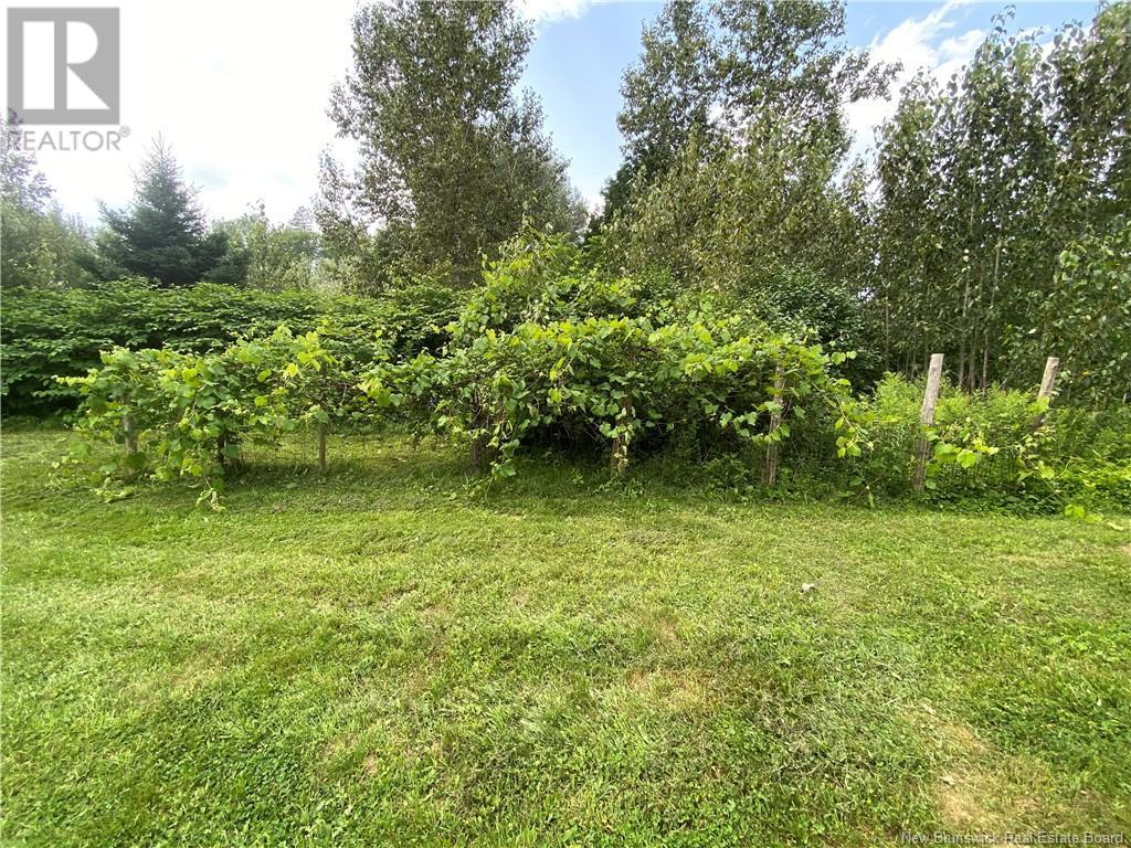 1741 Hwy 420, Red Bank, New Brunswick  E9E 1Y4 - Photo 15 - NB121839