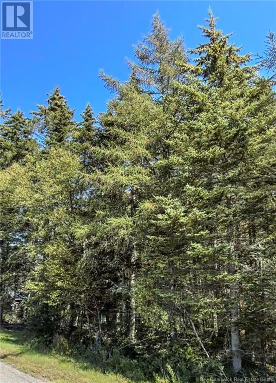 Land 860 Route, Hampton, New Brunswick  E5N 3B4 - Photo 2 - NB121822