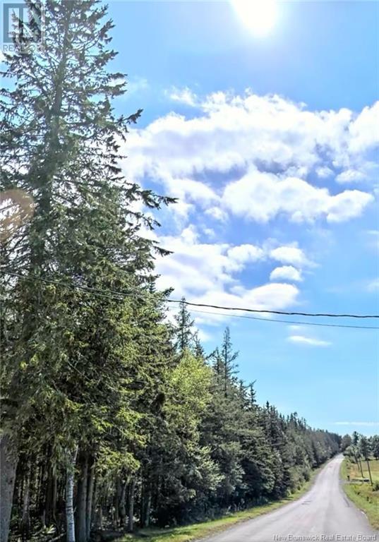 Land 860 Route, Hampton, New Brunswick  E5N 3B4 - Photo 4 - NB121822