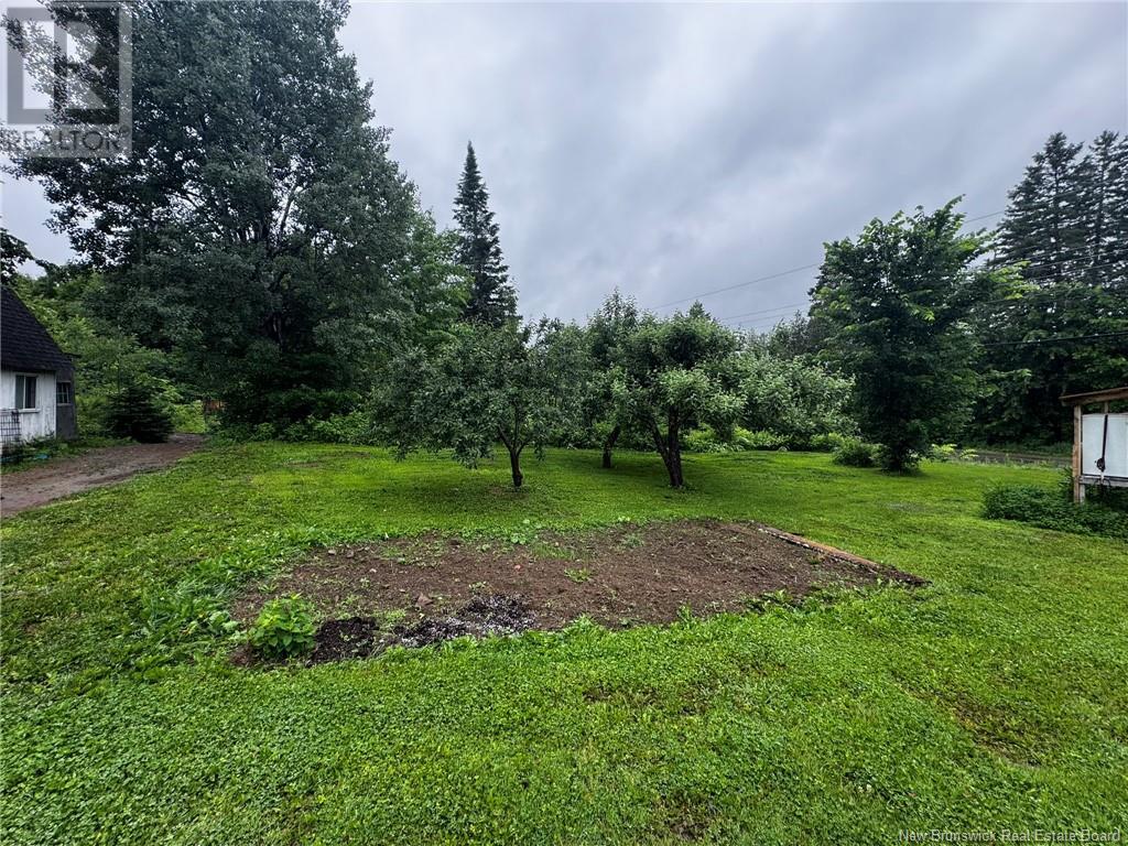 2499 Hwy 420, Sillikers, New Brunswick  E9E 1T7 - Photo 13 - NB121849