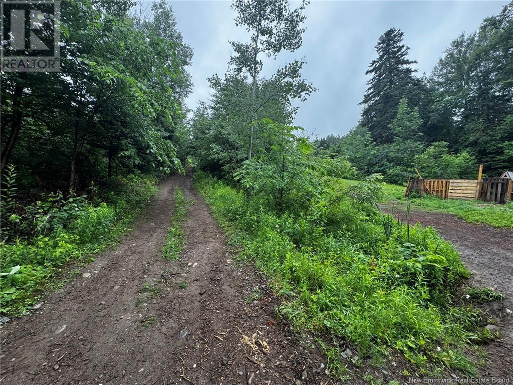 2499 Hwy 420, Sillikers, New Brunswick  E9E 1T7 - Photo 14 - NB121849