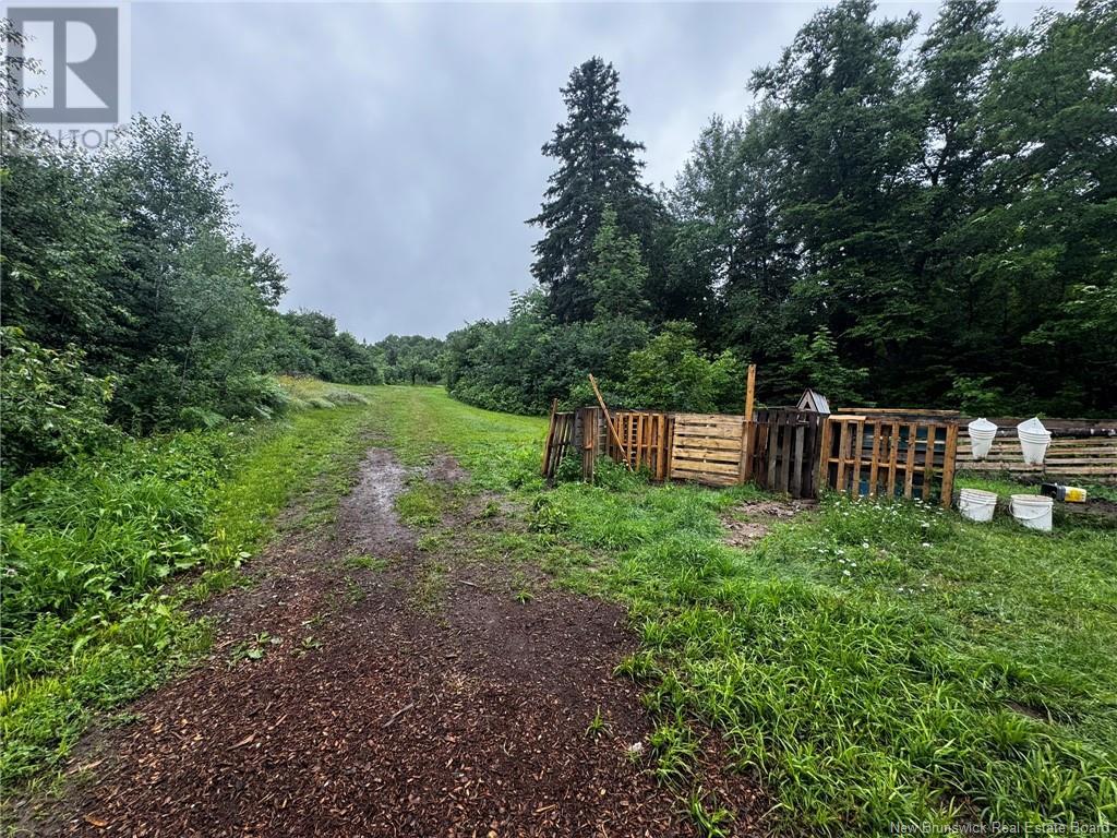 2499 Hwy 420, Sillikers, New Brunswick  E9E 1T7 - Photo 15 - NB121849