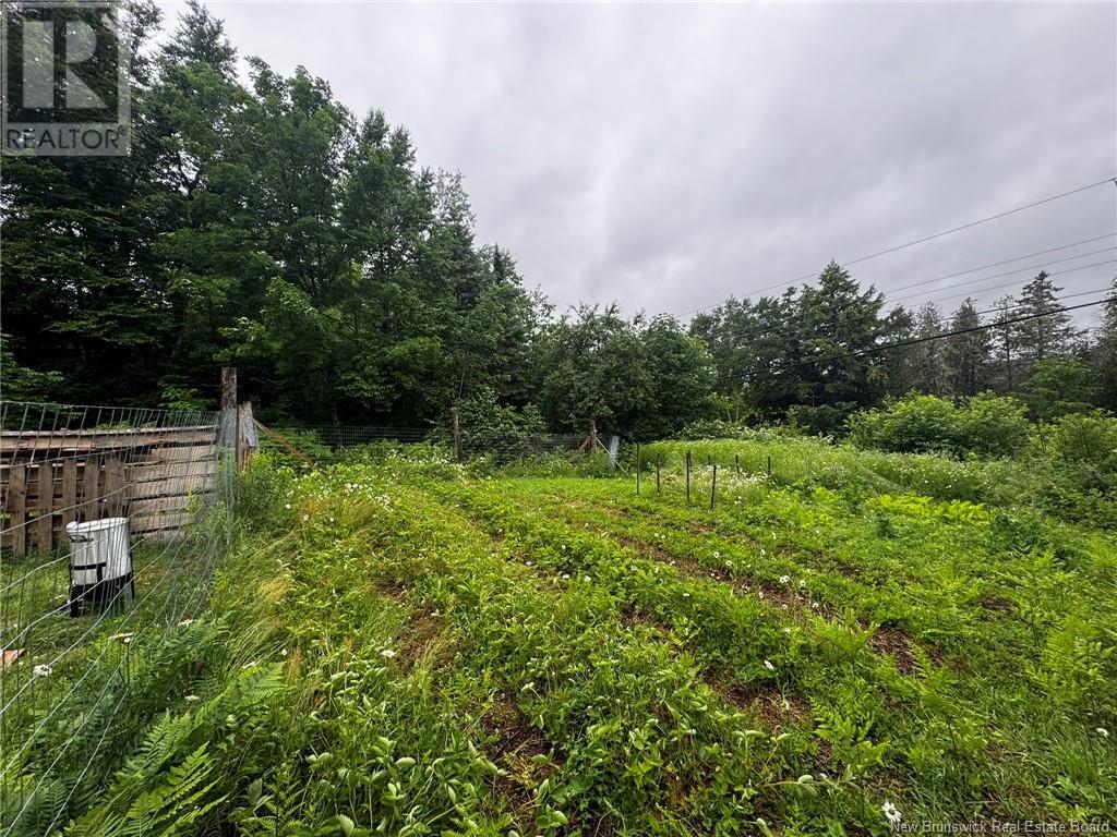 2499 Hwy 420, Sillikers, New Brunswick  E9E 1T7 - Photo 16 - NB121849