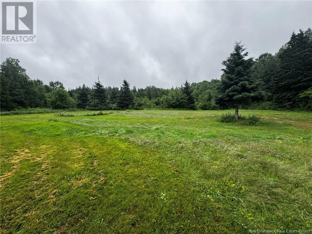 2499 Hwy 420, Sillikers, New Brunswick  E9E 1T7 - Photo 19 - NB121849