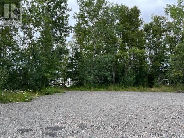 Lot Route 114, Edgetts Landing, New Brunswick  E4H 2G5 - Photo 5 - NB121824