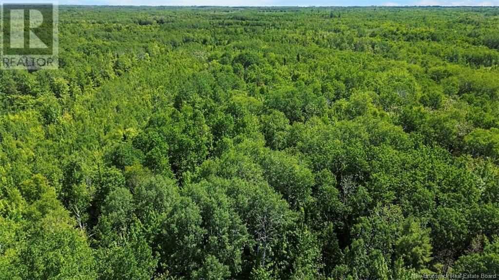 3342 Route 315, Laplante, New Brunswick  E8J 2A8 - Photo 5 - NB121816