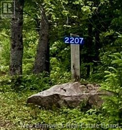 2207 Route 933 Aboujagane Rd, Memramcook East, New Brunswick  E4K 3Z2 - Photo 20 - NB121888