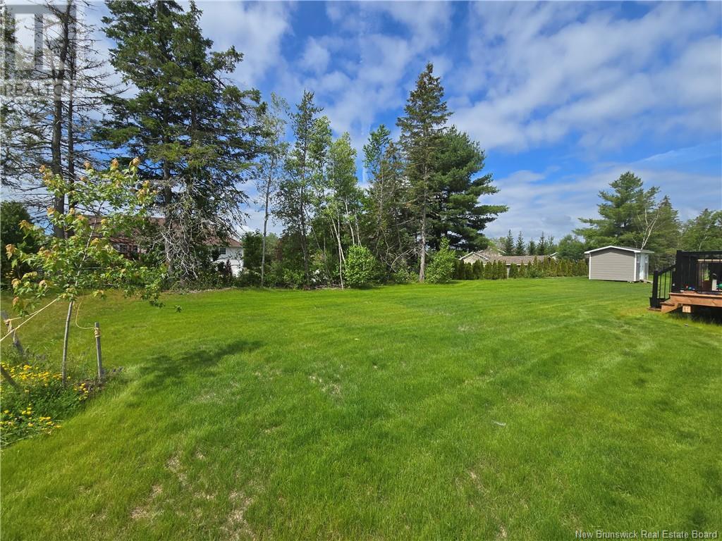 207 Carroll Street, Miramichi, New Brunswick  E1V 0M3 - Photo 21 - NB121885