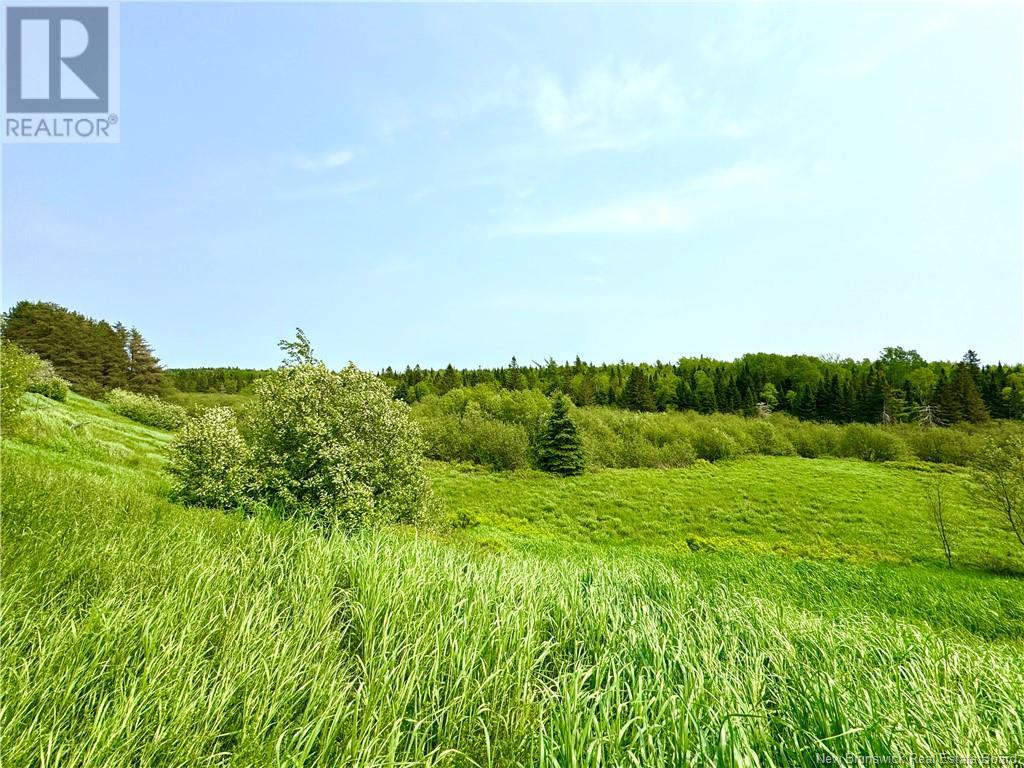 2482 Route 880, Head Of Millstream, New Brunswick  E4G 1P9 - Photo 11 - NB121709