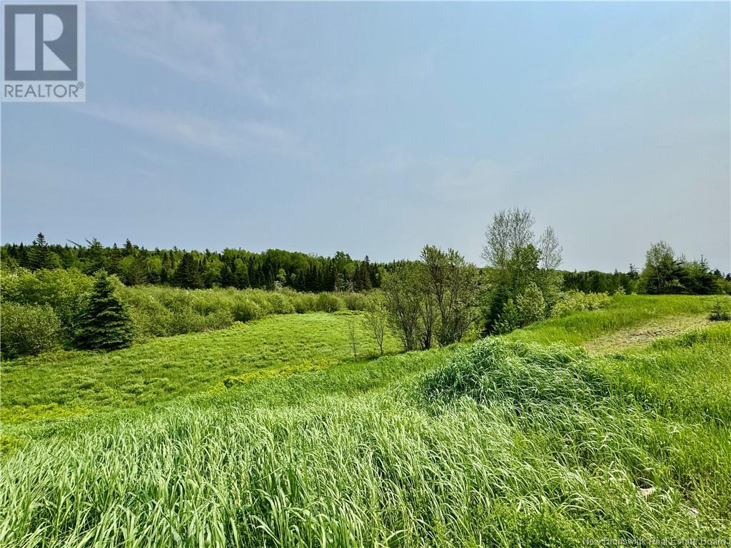 2482 Route 880, Head Of Millstream, New Brunswick  E4G 1P9 - Photo 12 - NB121709