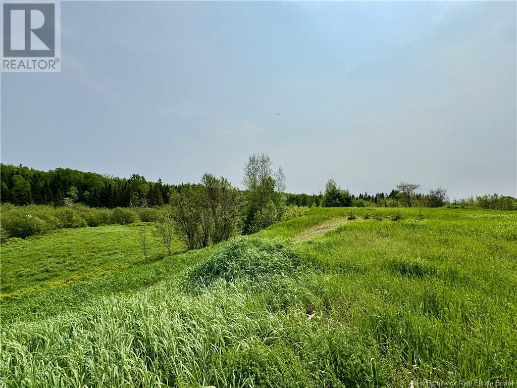 2482 Route 880, Head Of Millstream, New Brunswick  E4G 1P9 - Photo 13 - NB121709
