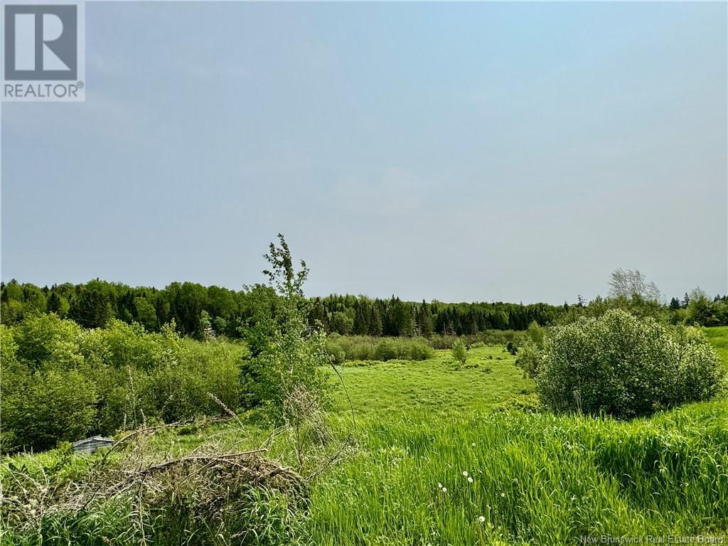 2482 Route 880, Head Of Millstream, New Brunswick  E4G 1P9 - Photo 14 - NB121709
