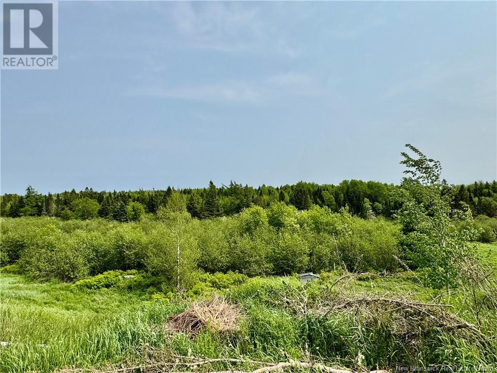 2482 Route 880, Head Of Millstream, New Brunswick  E4G 1P9 - Photo 15 - NB121709