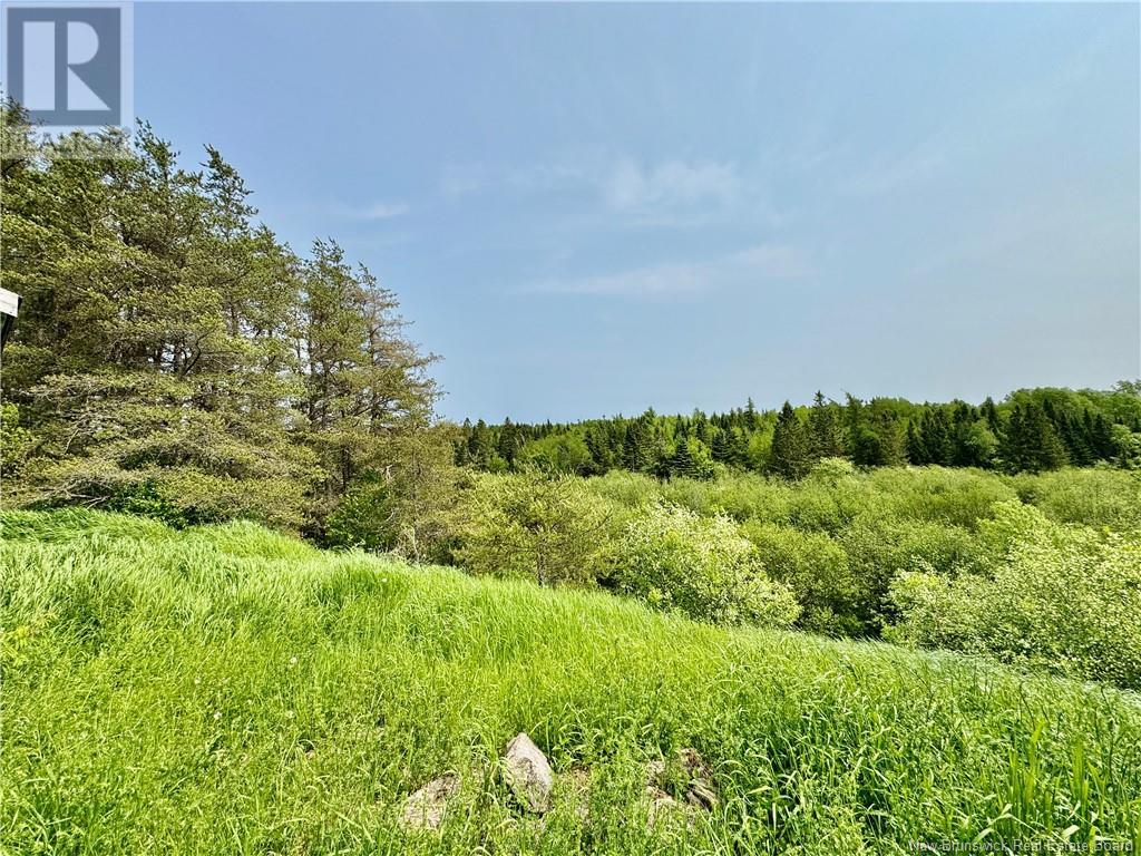 2482 Route 880, Head Of Millstream, New Brunswick  E4G 1P9 - Photo 17 - NB121709