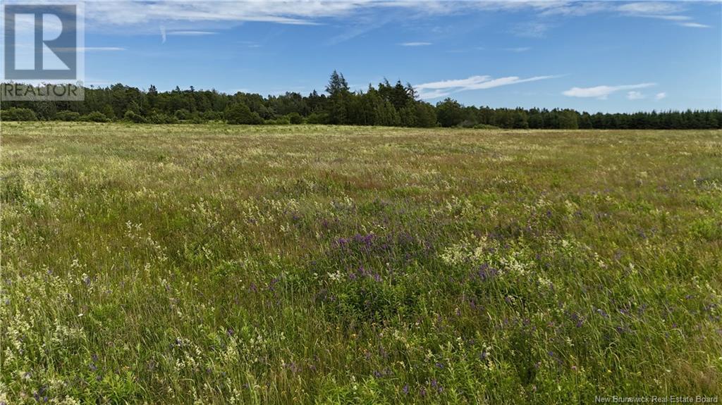 Lot 90-7 Cormier Village, Saint-Paul, New Brunswick  E4T 3H3 - Photo 14 - NB121928
