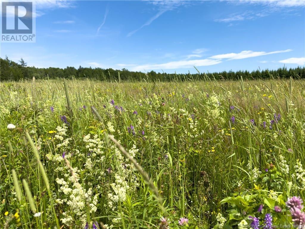 Lot 90-7 Cormier Village, Saint-Paul, New Brunswick  E4T 3H3 - Photo 6 - NB121928