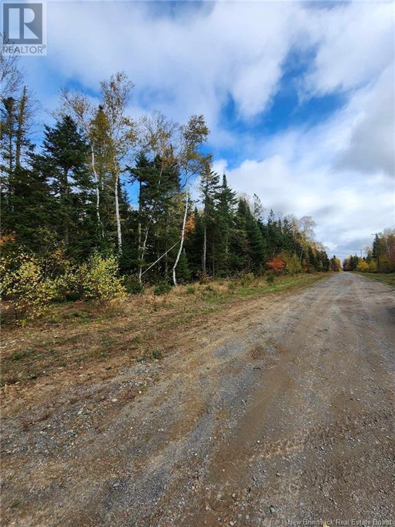Lot Glencoe Road, Nashwaak Bridge, New Brunswick  E6C 1T5 - Photo 12 - NB121743